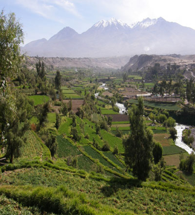Caminata dentro del Cañon del Colca 3D/2N