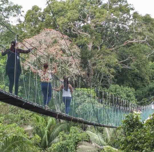 Puerto Maldonado Selva y Aventura 3D/2N